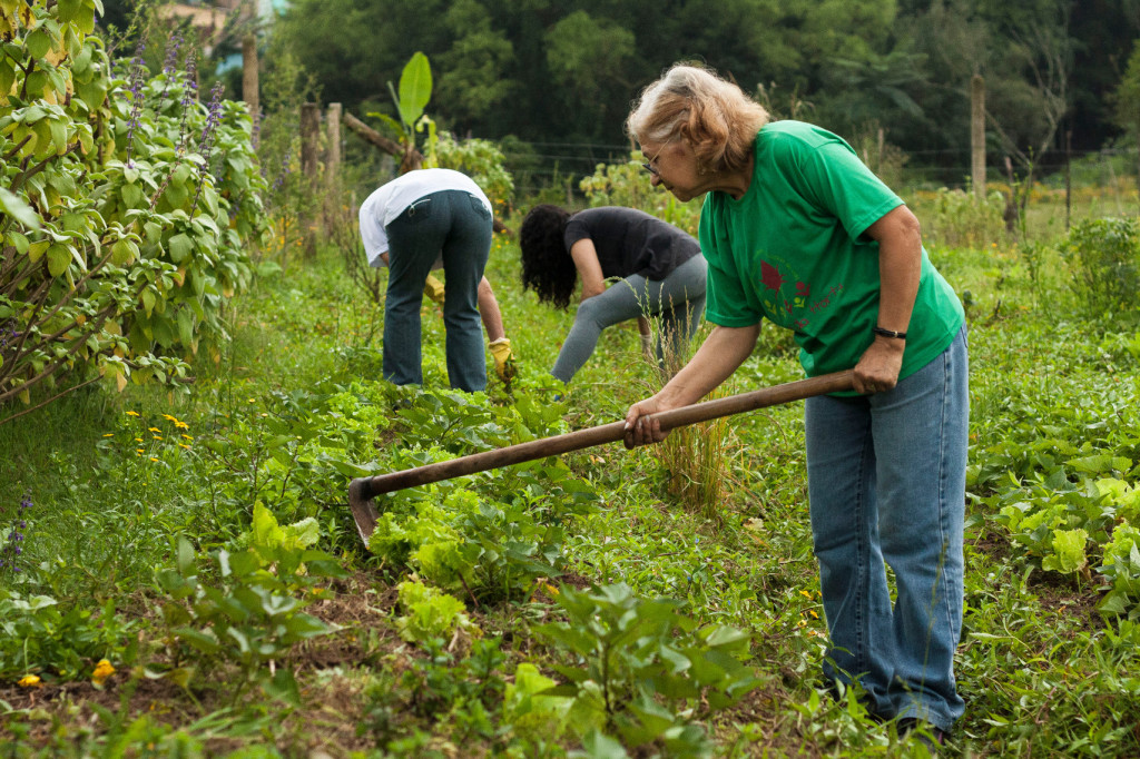Pessoas de todas as idades ajudam na horta comunitária.